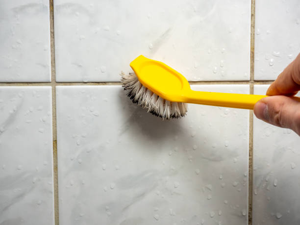 Best Best Mold Removal Companies  in Dodge City, KS