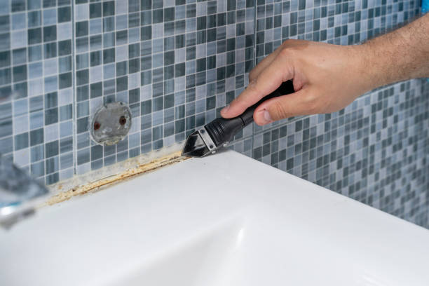 Best Office Mold Removal Services  in Dodge City, KS