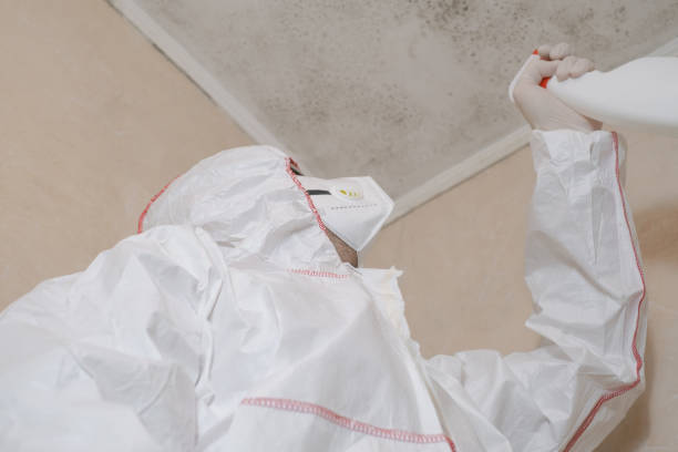 Best Mold Remediation  in Dodge City, KS