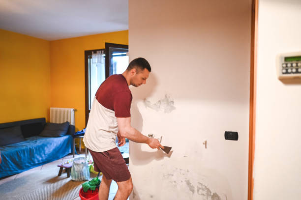 Best Local Mold Removal Service  in Dodge City, KS